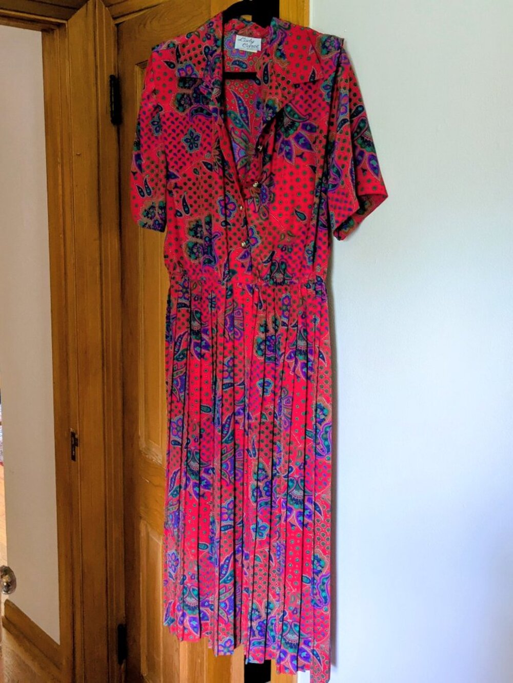Lady Carol vintage dress